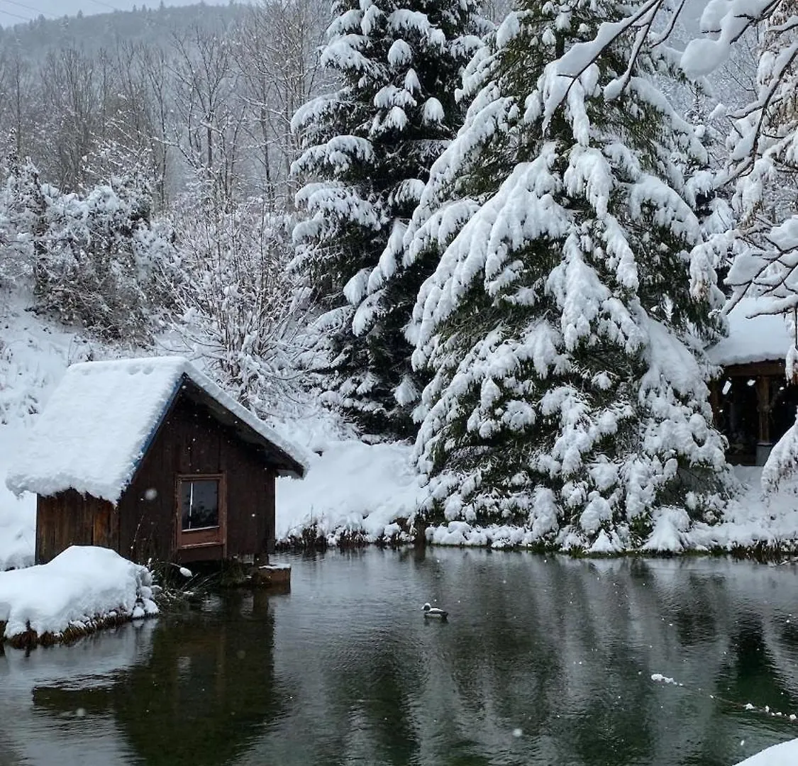 Maison D'Exception Avec Etang Prive En Chartreuse Saint-Pancrasse Holiday home